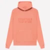 Coral Essentials Hoodie